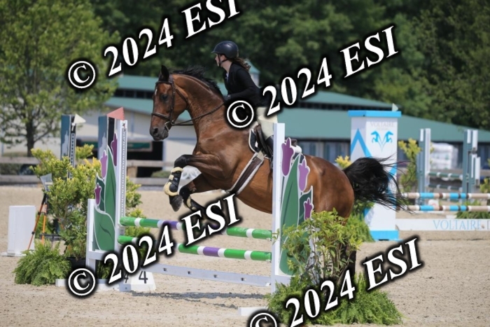 205AC2_0703