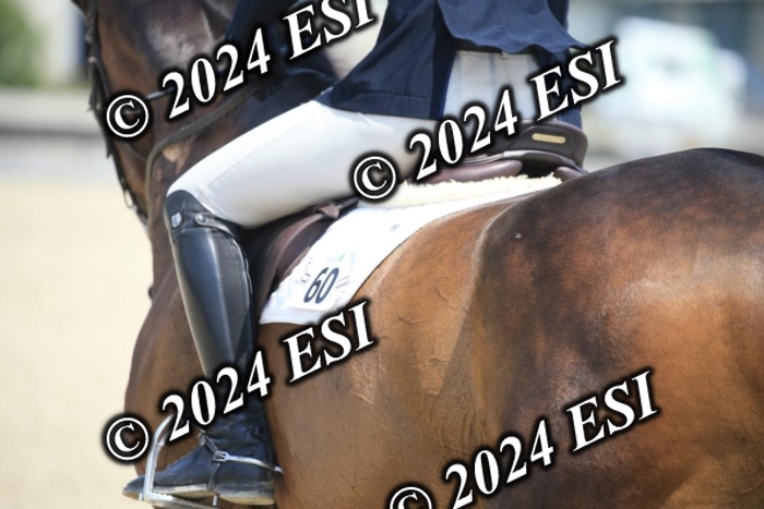 205AC2_0708