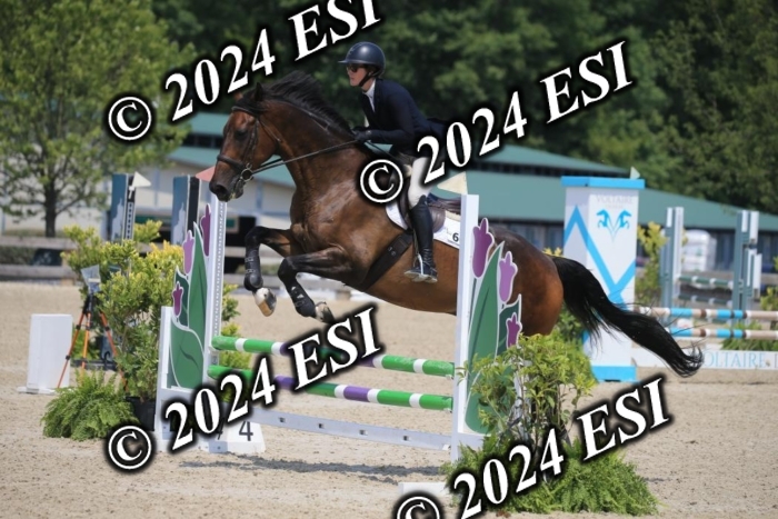 205AC2_0713