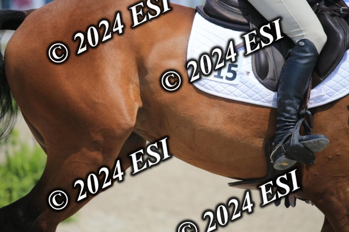205AC2_0727