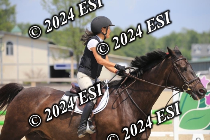 205AC2_0736