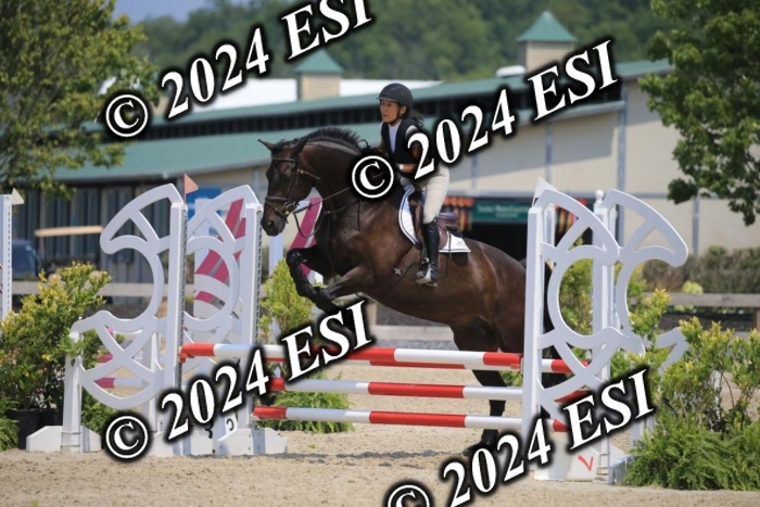 205AC2_0738
