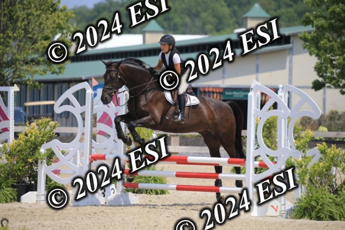 205AC2_0739