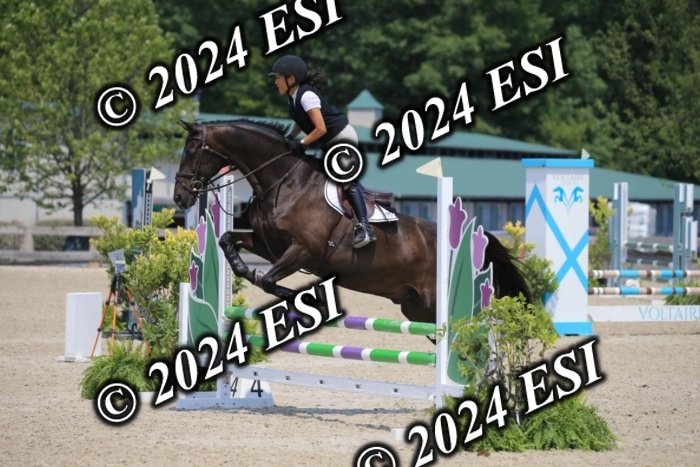 205AC2_0741