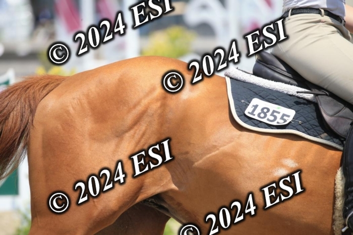 205AC2_0745