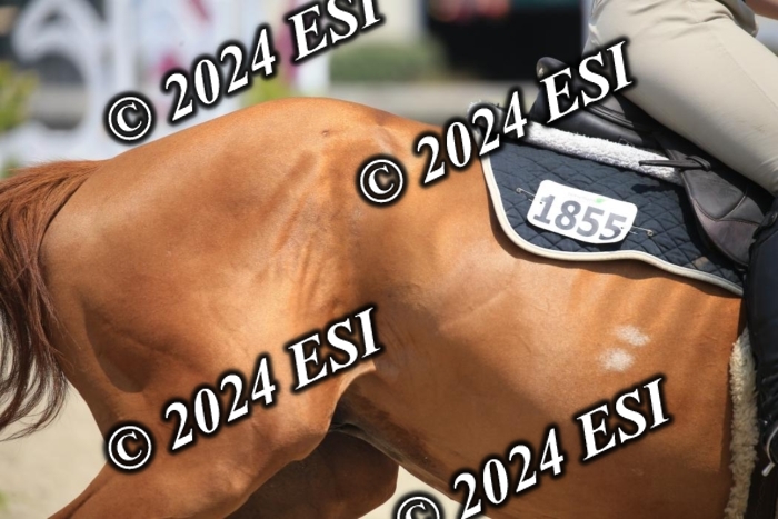 205AC2_0746