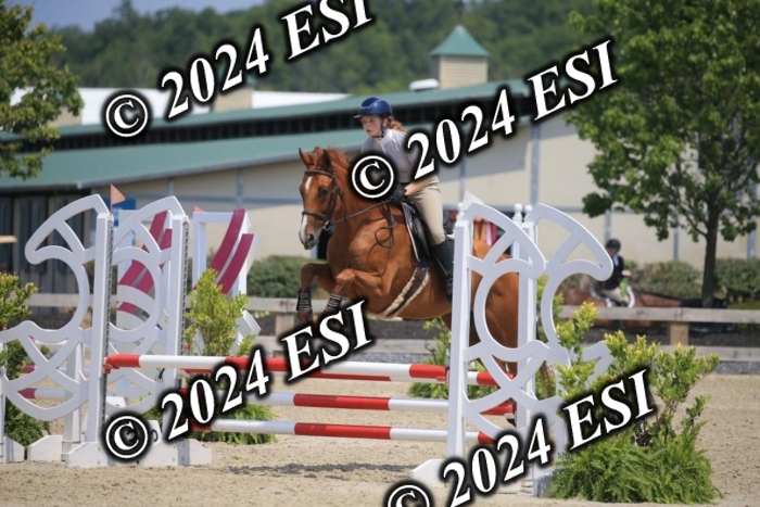 205AC2_0747
