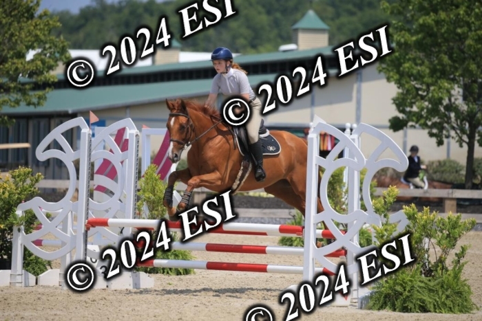 205AC2_0748