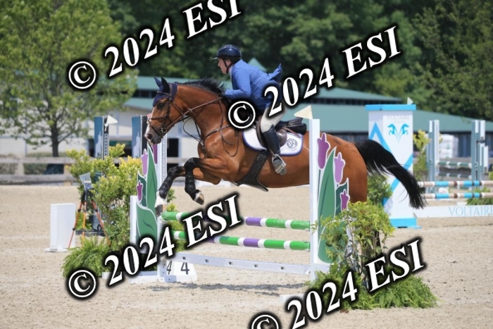 205AC2_0758