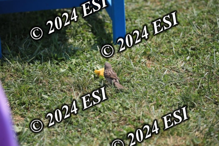 205AC2_0764