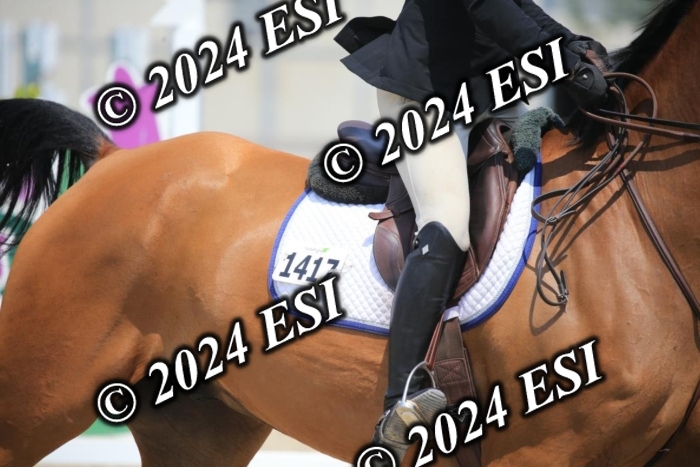 205AC2_0766