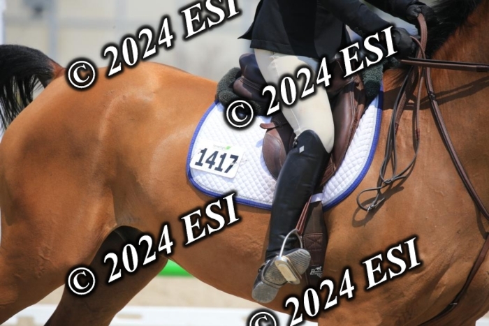 205AC2_0767