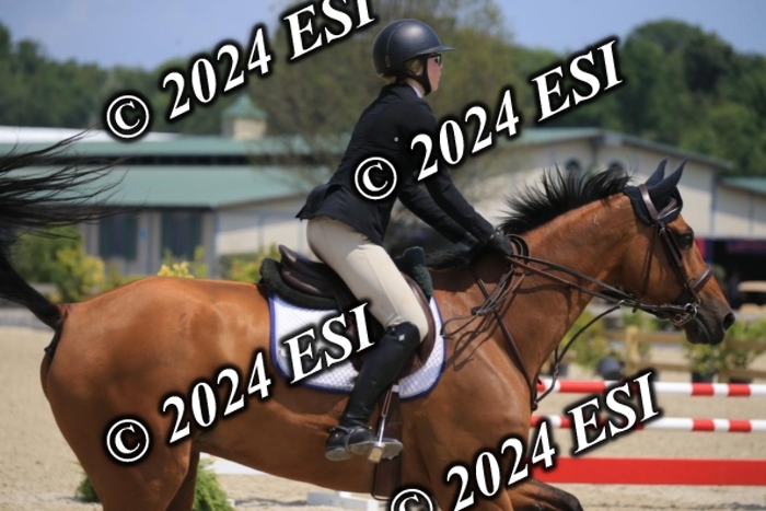 205AC2_0769
