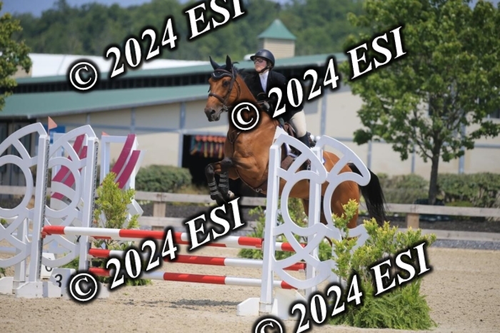 205AC2_0771