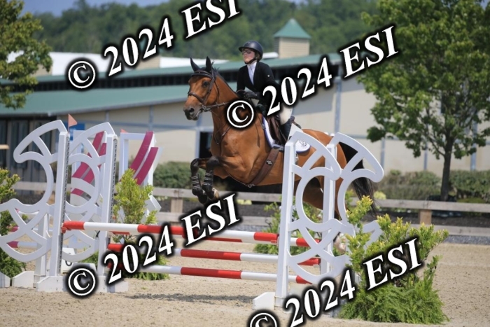 205AC2_0772