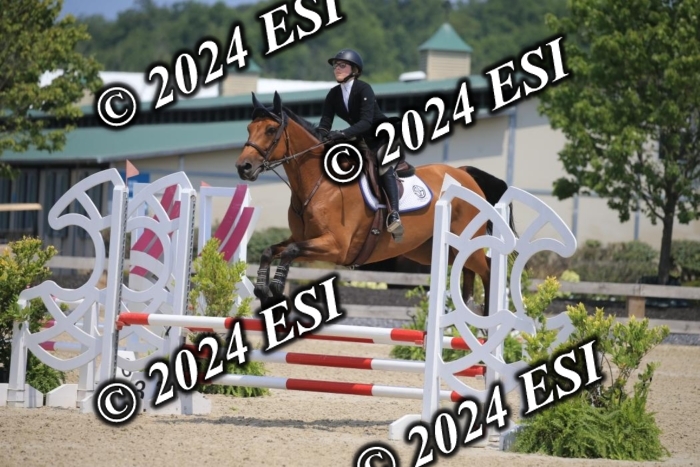 205AC2_0773