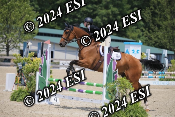 205AC2_0775