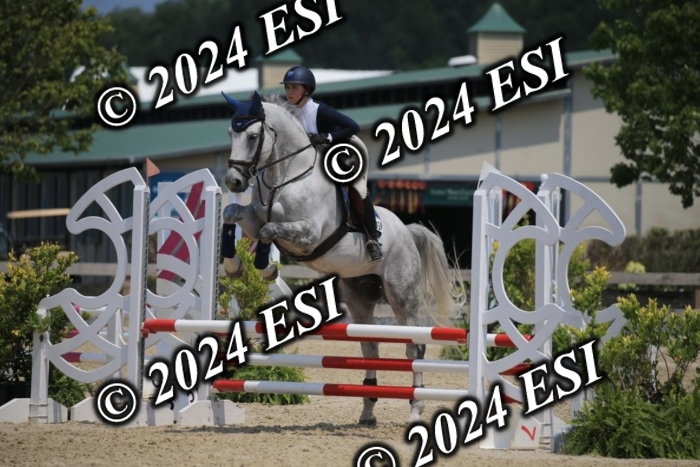 205AC2_0783