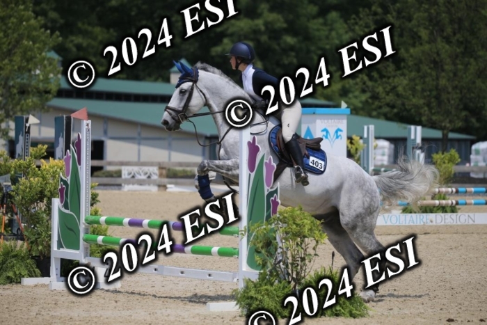 205AC2_0784