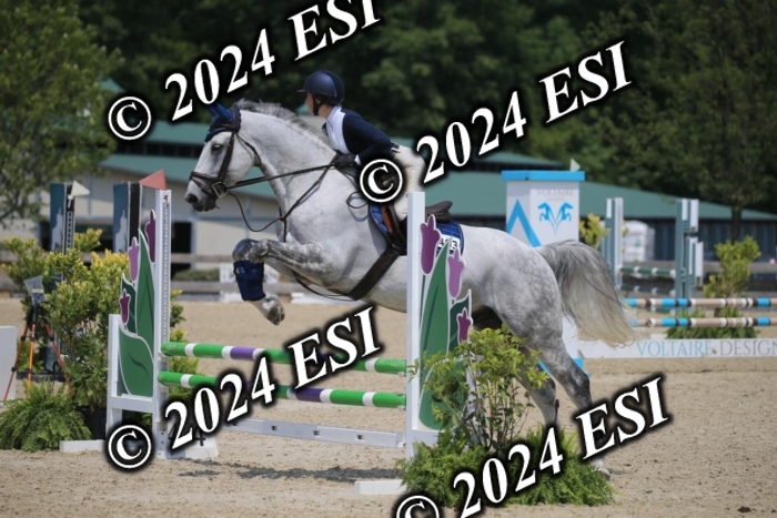 205AC2_0785