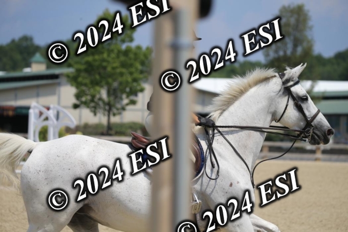 205AC2_0790