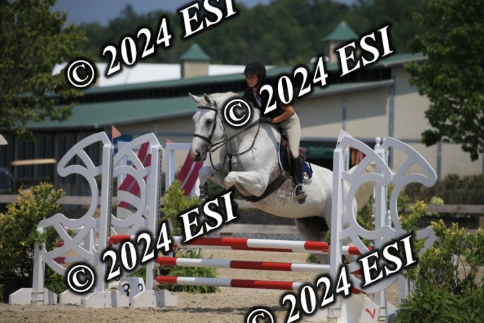 205AC2_0794