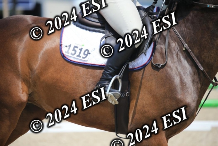 205AC2_0805