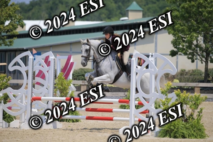 205AC2_0819