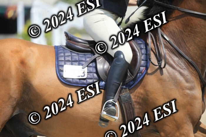 205AC2_0836