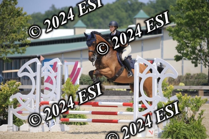 205AC2_0838