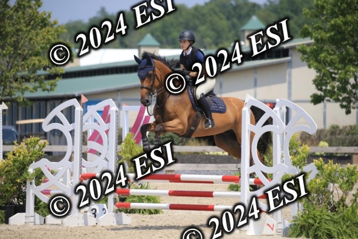 205AC2_0839