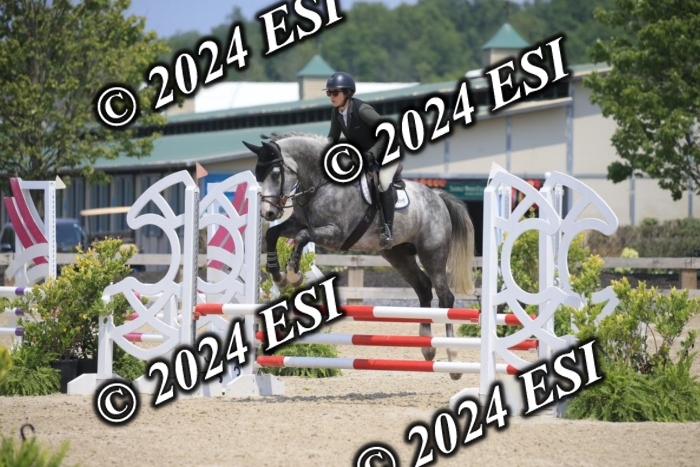 205AC2_0848