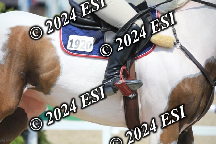 205AC2_0859