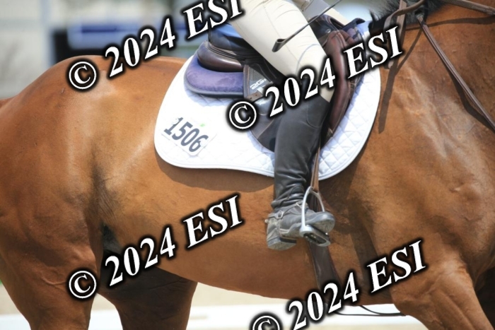 205AC2_0868