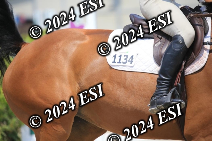 205AC2_0879