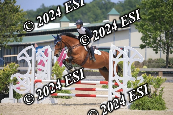 205AC2_0881