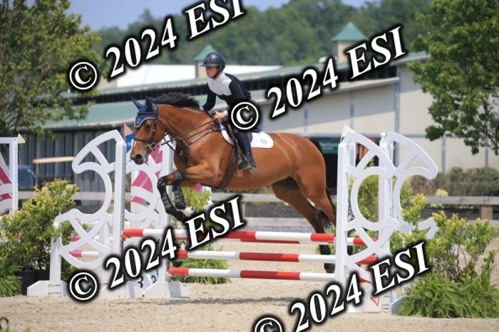 205AC2_0882