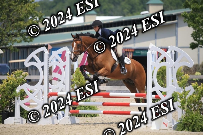 205AC2_0887