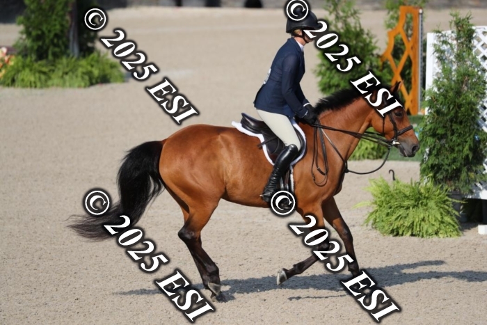 015AO5I9783