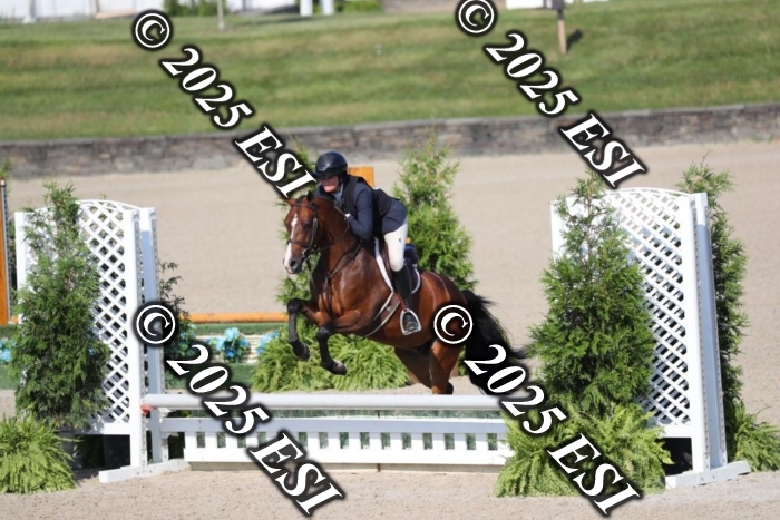 015AO5I9884