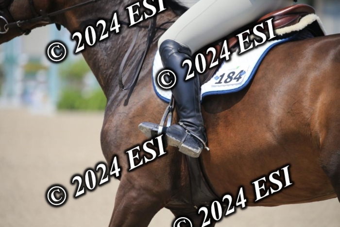 209AC2_1109