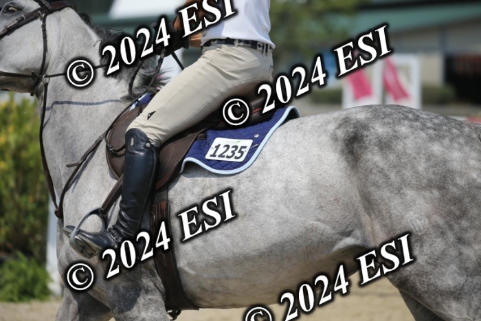 209AC2_1119