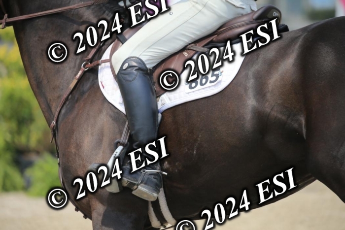 209AC2_1141