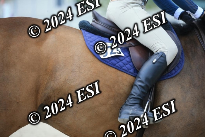 209AC2_1149