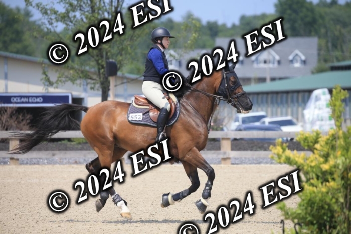 209AC2_1167