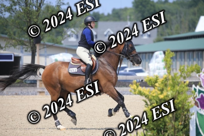 209AC2_1168