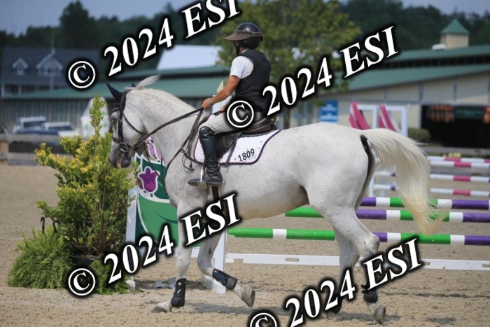 209AC2_1171