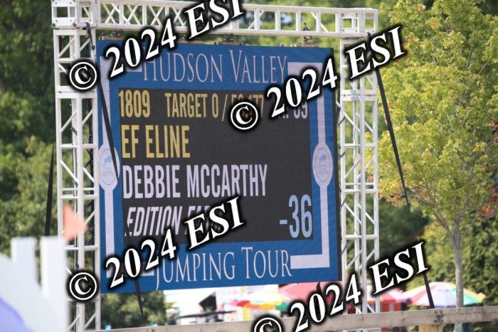 209AC2_1173