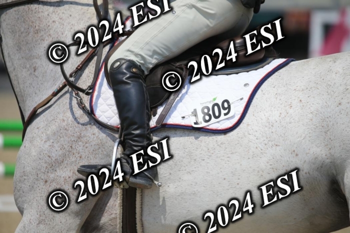 209AC2_1180
