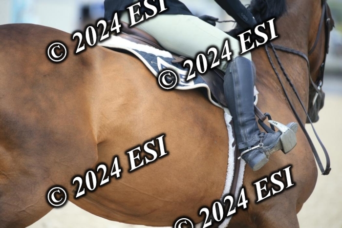 209AC2_1202